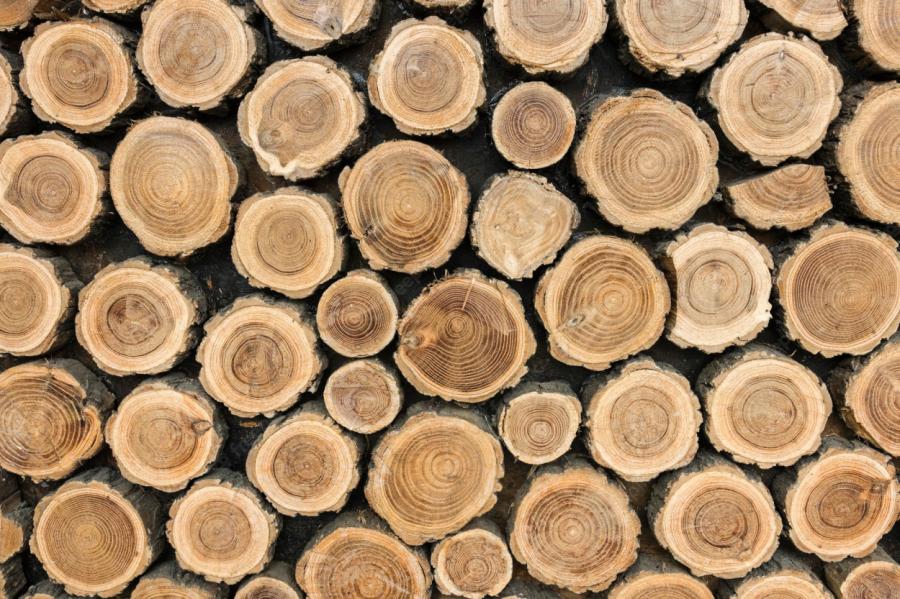 Latvijā koksnes trūkums un mežizstrādes cenu kāpums