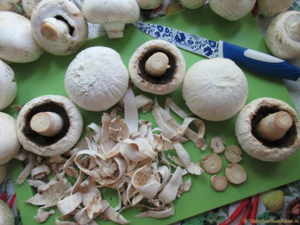 Vai šampinjonus pirms cepšanas vajag mazgāt vai tīrīt?