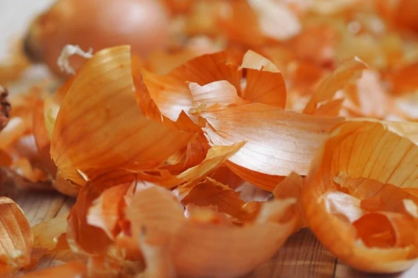 Kur izmantot sīpolu mizu dārzā: 6 pielietošanas veidi