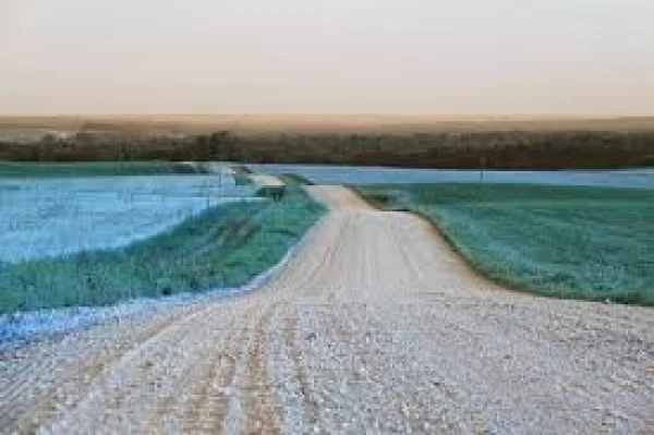LVC: Šogad 440 kilometros grants autoceļu atputekļošana izmaksās vairāk nekā 700 000 eiro