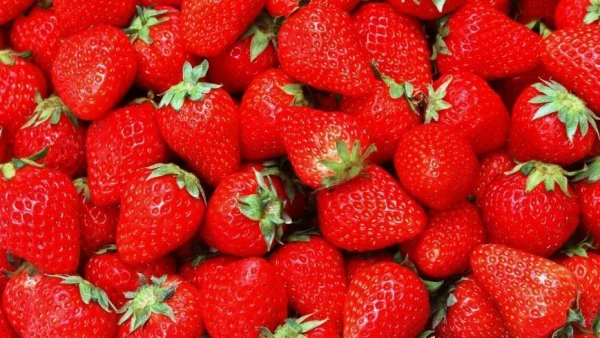 Kā saglabāt zemenes ziemai bez vārīšanas un saldēšanas