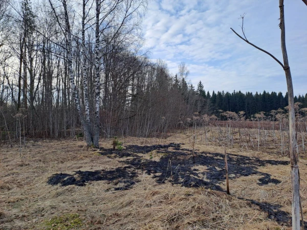 Šonedēļ sāks darbu pie dronu radīto zaudējumu kompensēšanas mehānisma