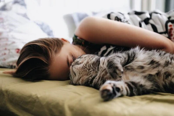 Кошка спит.