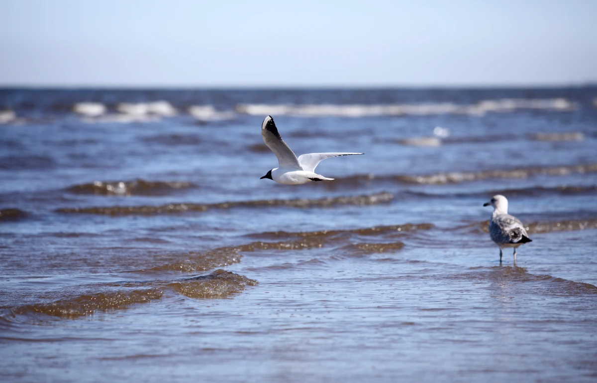 Ūdens temperatūra peldvietās nepārsniedz deviņus grādus
