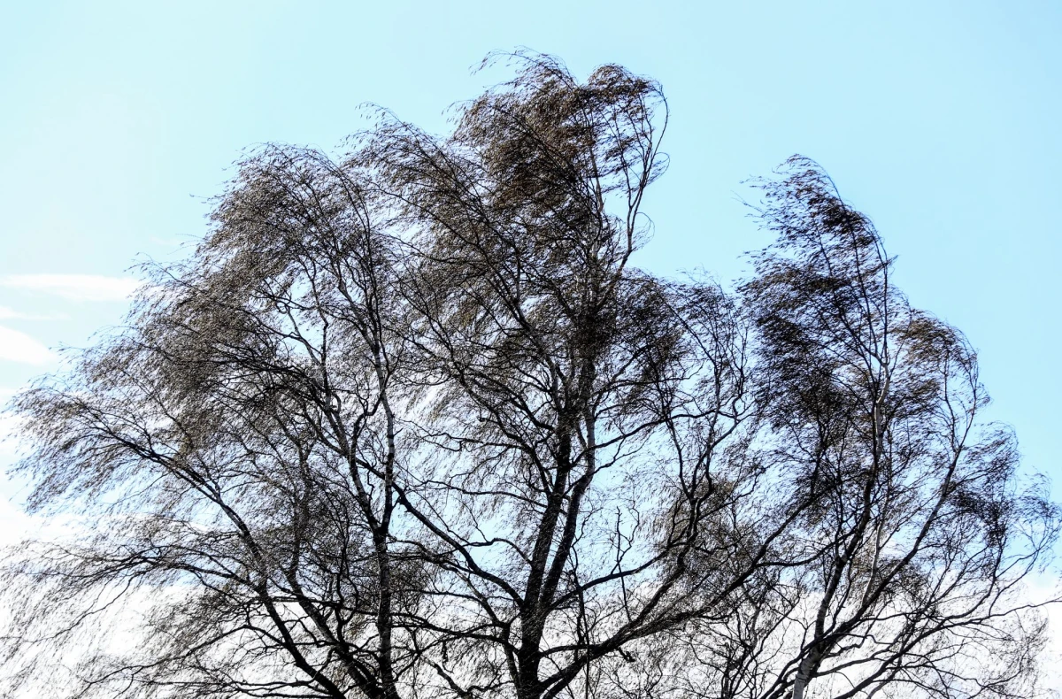 Otrdien saglabāsies dzestrs un vējains laiks