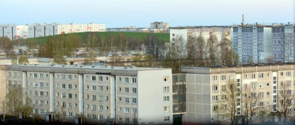 papildināta - Dzīvoklī Imantā likumsargi konstatē 27 novārgušus kaķus un dzīvnieku mirstīgās atliekas