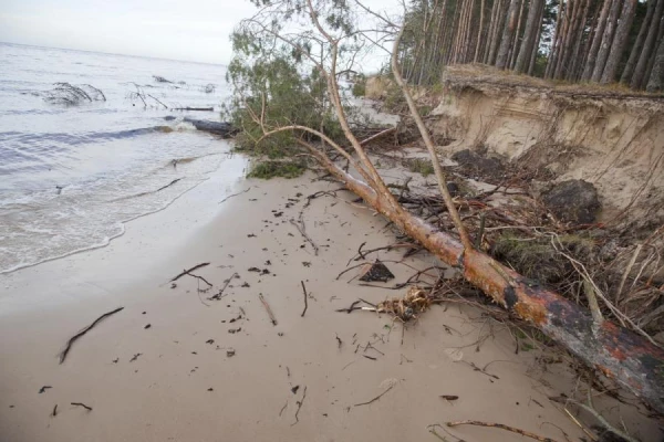 Aprīļa beigas būs aukstas; svētdien gaidāma vētra
