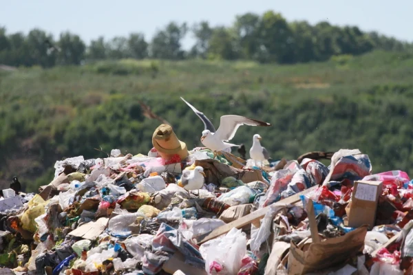 Stihisko izgāztuvju novēršana Daugavpilī pērn izmaksājusi teju 60 000 eiro