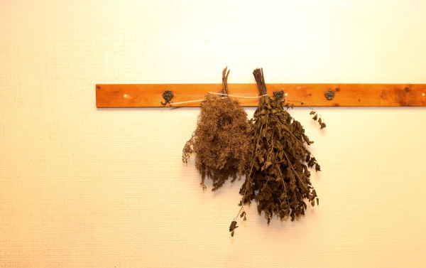 Konferencē diskutēs par pirts tradīciju un tās mūsdienu interpretācijām