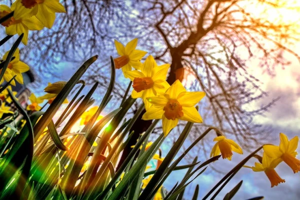 Piektdiena būs pārsvarā saulaina