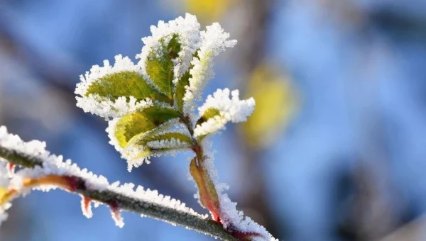 Dažviet Kurzemē gaisa temperatūra noslīdējusi līdz -5 grādiem