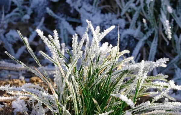 Naktī gaisa temperatūra noslīdēs zem nulles