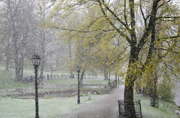 Sestdiena gaidāma mākoņaina un lietaina, austrumos iespējams arī slapjš sniegs