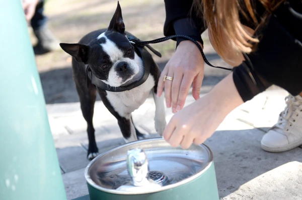 Rīgā šosezon plāno uzstādīt 16 jaunus ūdens brīvkrānus