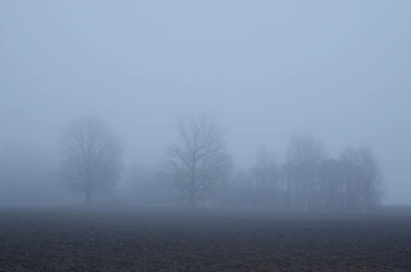Vakarā un naktī daudzviet no jauna sabiezēs migla