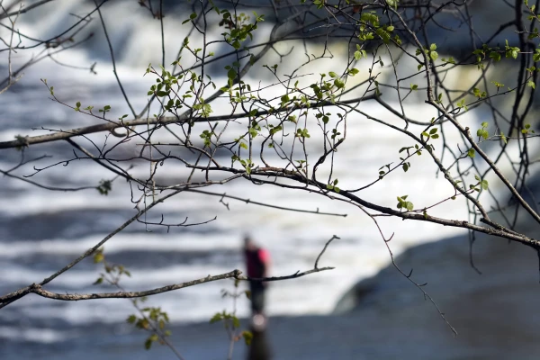 Gaisa temperatūra valstī no -3 līdz +7 grādiem