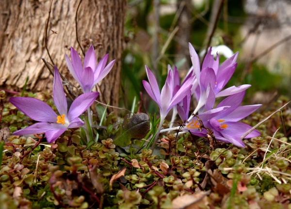 Svētdiena aizritēs ar mierīgiem laika apstākļiem