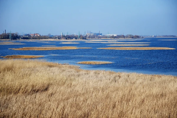Dabas aizsardzības pārvalde nodod daļu Liepājas ezera pašvaldības pārziņā