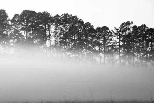 Naktī daudzviet veidosies migla