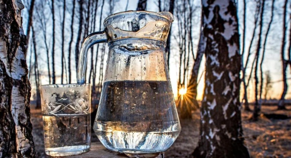 Bērzu sulu dzērienu un sīrupu «Birzī» ražotājs attīstībā investējis 30 000 eiro