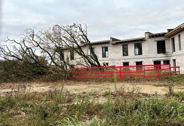 Par Mārupes dižozola nozāģēšanu vīrietim piespriež divu gadu probācijas uzraudzību un pienākumu atlīdzināt 27 500 eiro