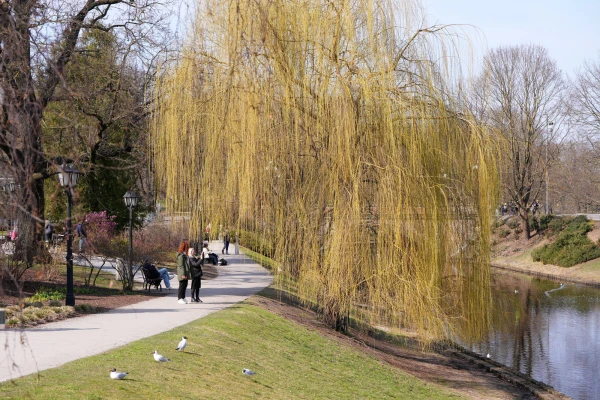 Desmit vietās labots 11. marta siltuma rekords