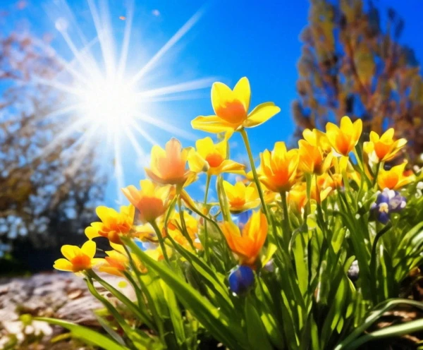 Pēcpusdienā gaiss dažviet sasils līdz +11 grādiem