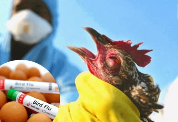 Par gripas upuriem kļuvuši vēl 6 cilvēki