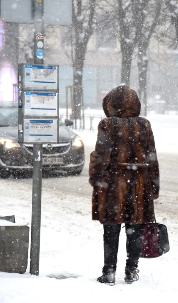 Trīs mēnešu laikā ar transportu pēc pieprasījuma Kurzemē pārvadāti vairāk nekā 800 pasažieru