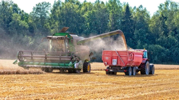 Graudaugu kopraža pērn Latvijā pieaugusi par 1,4%