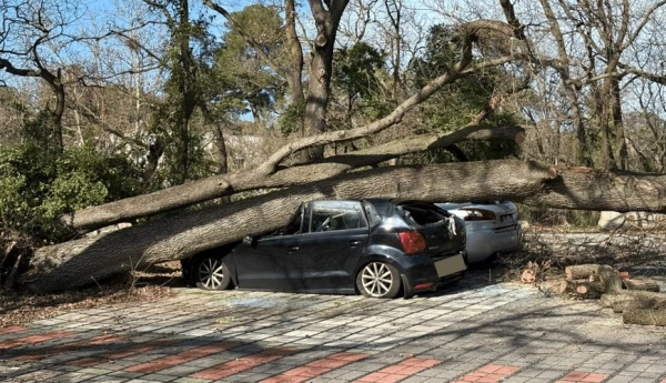 Francijā pēc vētras tūkstošiem mājsaimniecību palikušas bez elektroapgādes