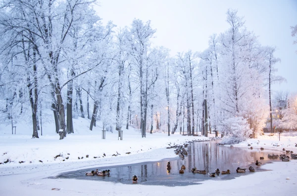 Svētdien un nākamās nedēļas sākumā gaisa temperatūra vietām pazemināsies līdz -30 grādiem