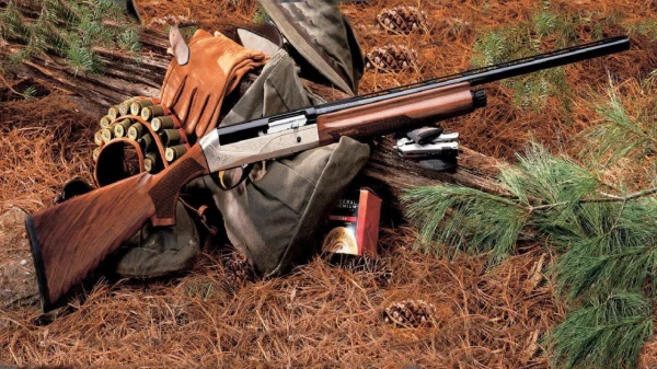 VMD konstatējis nelikumīgas medības no braucoša autotransporta