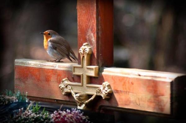 Pirmdien daudzviet spīdēs saule