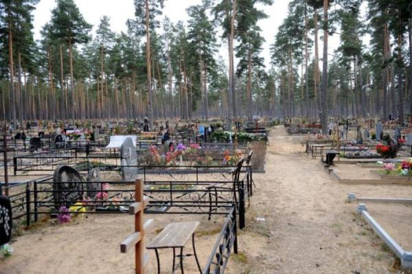 Lauksaimnieki: Līdzšinējais sals ziemāju sējumus neapdraud