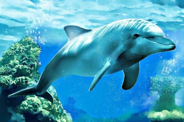 VDD: Sankciju pārkāpēji turpinās attīstīt jaunas to apiešanas shēmas