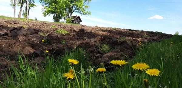AM izsūtījusi pirmās vēstules zemes īpašniekiem par Baltijas aizsardzības līnijas izveidei nepieciešamo teritoriju atsavināšanu