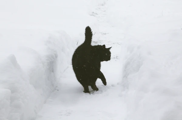 Sniega dziļums Dagdā pieaudzis līdz 33 centimetriem