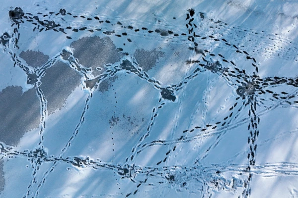 Daugavpilī vīrietis pārkāpj aizliegumu un alkohola lietošanas nolūkā dodas pa ledu pāri Daugavai