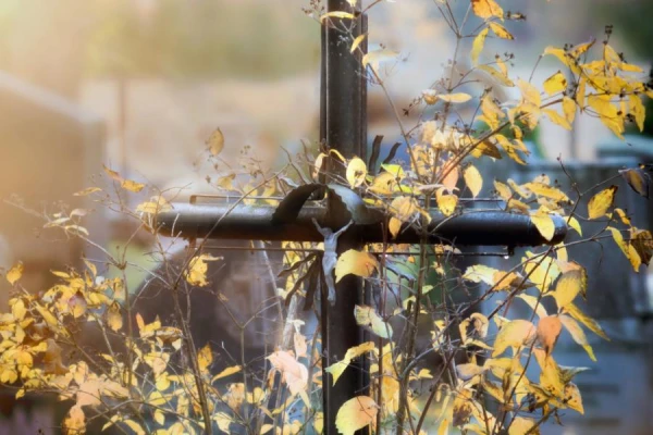 Deputāti darbu pie Kapsētu likuma turpinās nākamnedēļ
