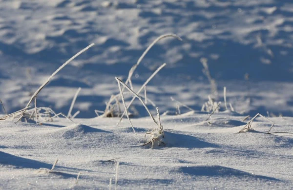 Svētdien gaidāms mākoņains laiks, daudzviet Latvijā turpināsies snigšana