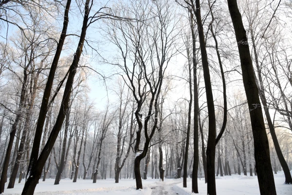 Ceturtdien saglabāsies sals