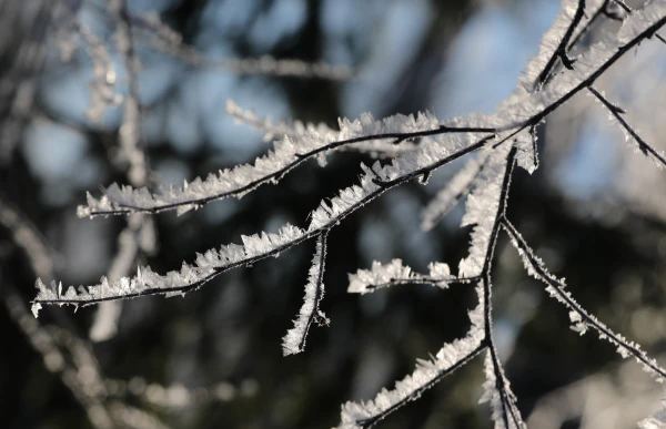 Trešdien gaisa temperatūra nedaudz pazemināsies