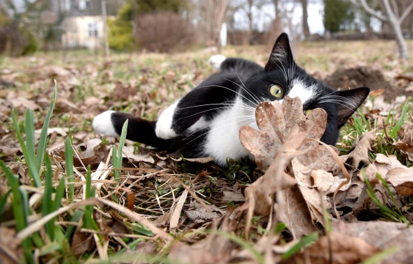 Decembra vidus Latvijā bijis četrus grādus siltāks par normu