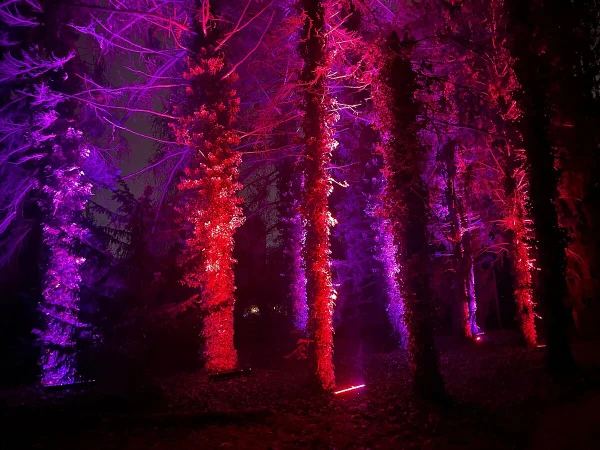 LU Botāniskajā dārzā trešo reizi notiks gaismas festivāls «Ziemas nedarbi»