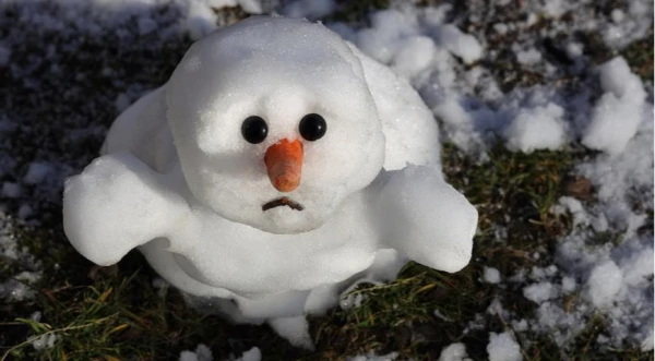 Pēc īslaicīga sala un sniega nākamnedēļ atgriezīsies siltāks laiks