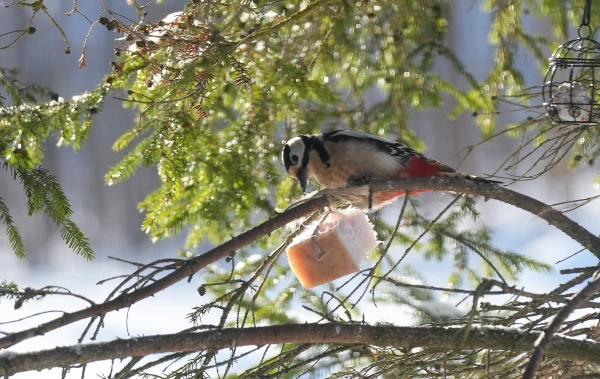 Trešdien Latvijā gaidāms lietus un siltuma rekordi