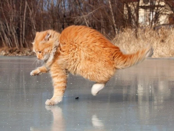 Aizliedz atrasties uz Jūrmalas ūdenstilpju ledus