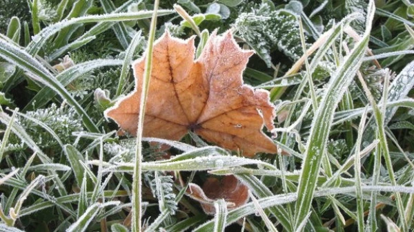 Visā valstī valda neliels sals