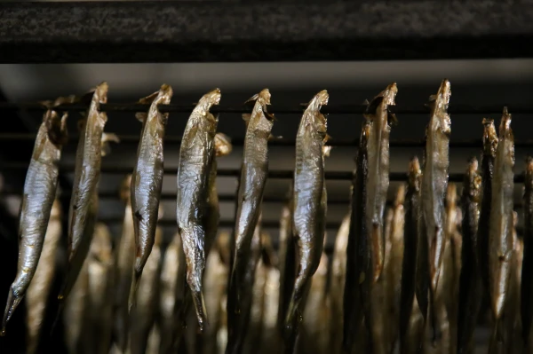 Zivju pārstrādes uzņēmums «Gamma-A» apgrozījums pērn krities par 20,1%